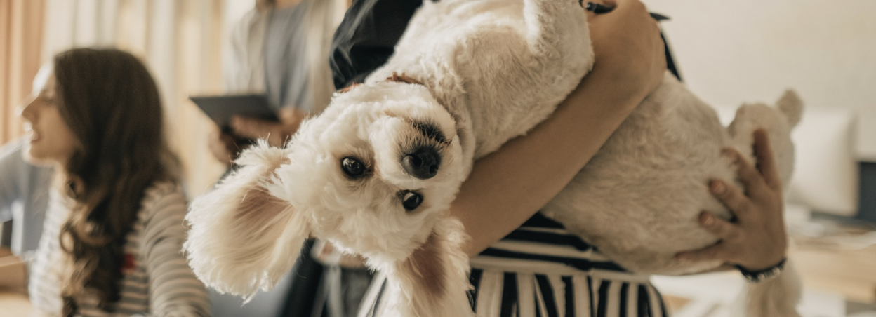 A pet-friendly community at The Oak Leaf